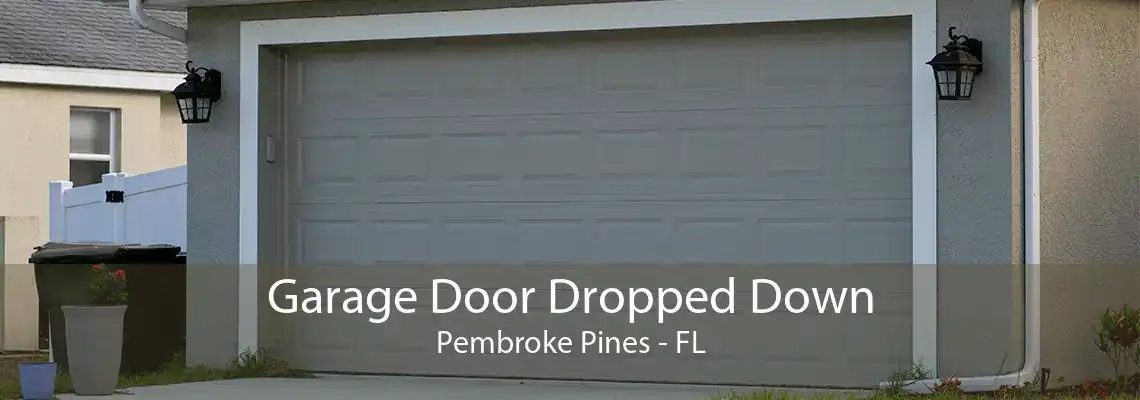 Garage Door Dropped Down Pembroke Pines - FL